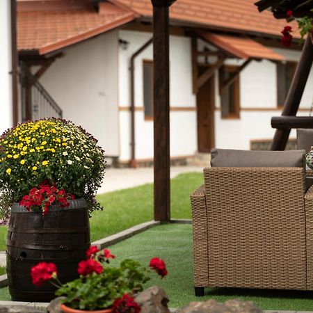 Hotel Magda Garden Cîrţişoara Exteriér fotografie