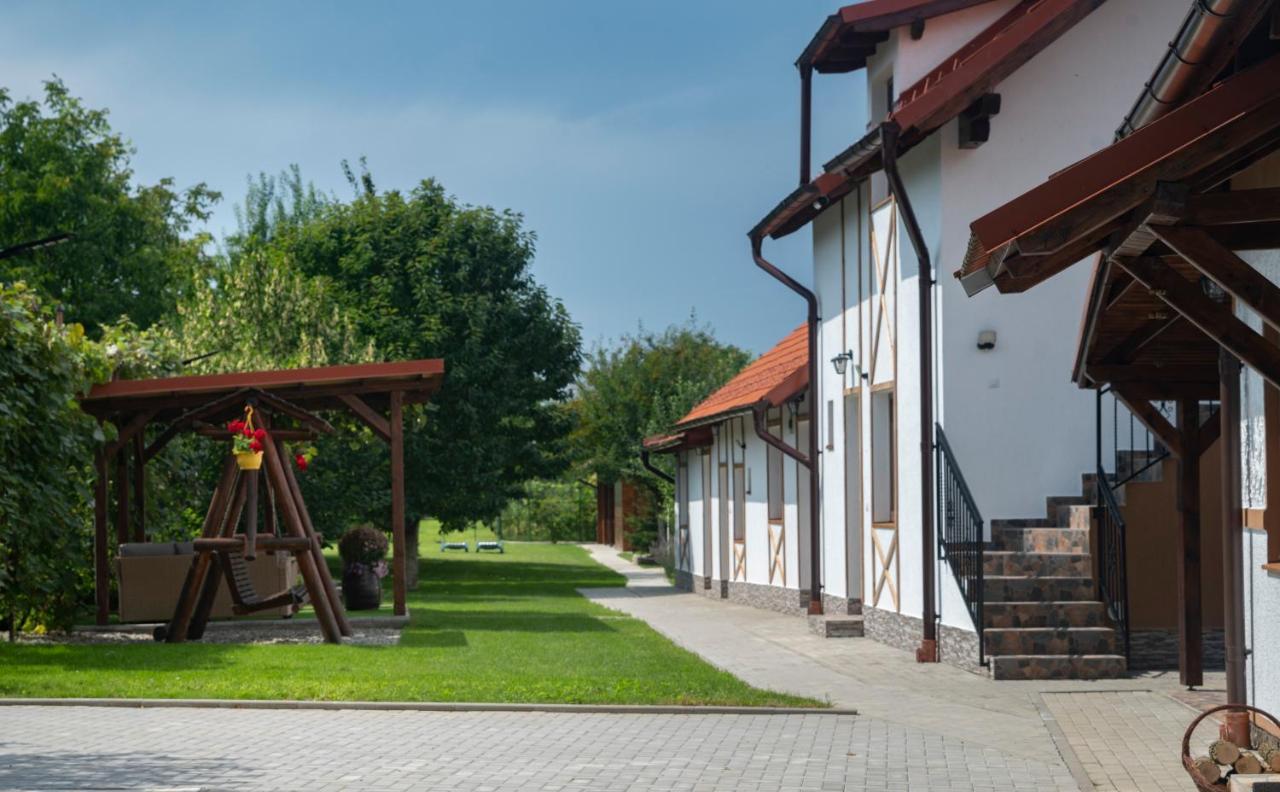 Hotel Magda Garden Cîrţişoara Exteriér fotografie