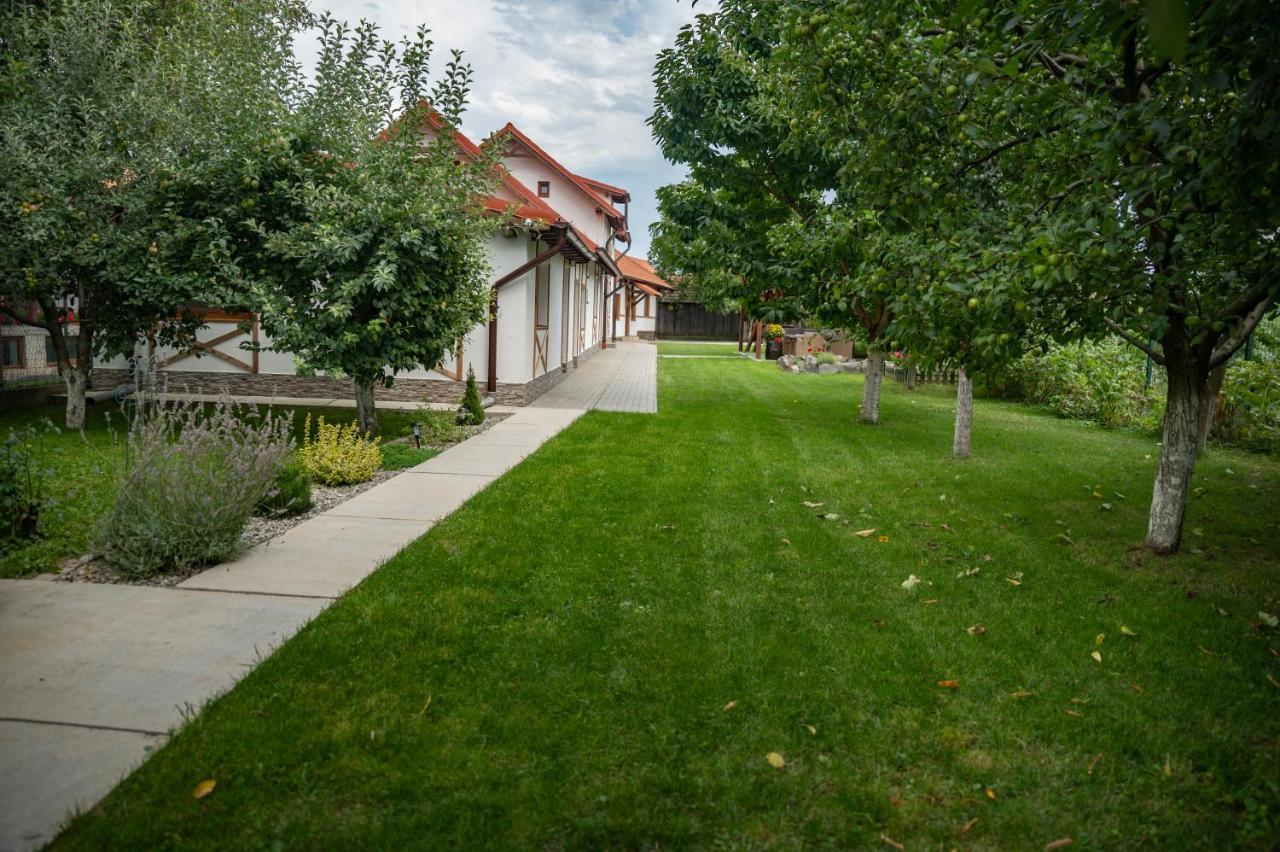 Hotel Magda Garden Cîrţişoara Exteriér fotografie