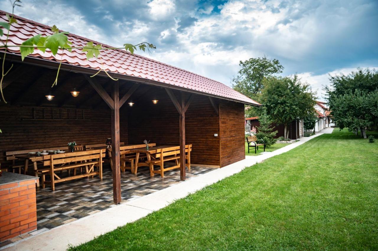Hotel Magda Garden Cîrţişoara Exteriér fotografie