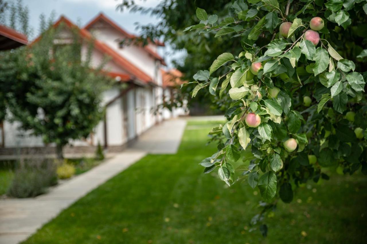 Hotel Magda Garden Cîrţişoara Exteriér fotografie