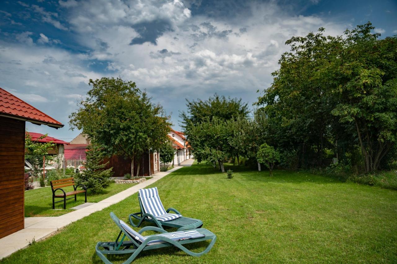 Hotel Magda Garden Cîrţişoara Exteriér fotografie