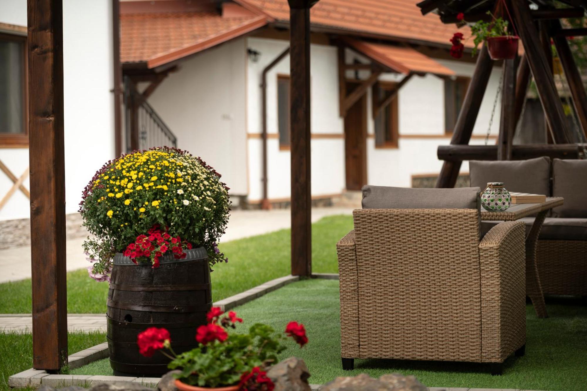 Hotel Magda Garden Cîrţişoara Exteriér fotografie